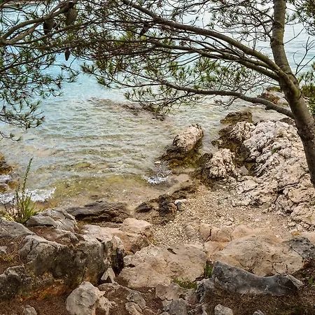 Lonic Διαμέρισμα *